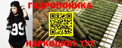 хмурый Будённовск