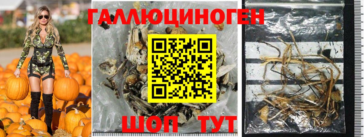 Псилоцибиновые грибы MAGIC MUSHROOMS Удомля